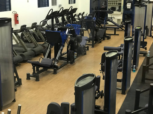 Academia Revigora Acqua Dynamic