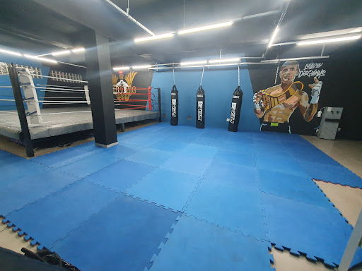 Academia de lutas União ABC Santo André