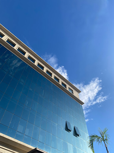 Acupuntura Fértil | Acupuntura em Santo André