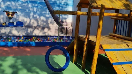 Espaço Veterinário Hollywood Pet: Creche