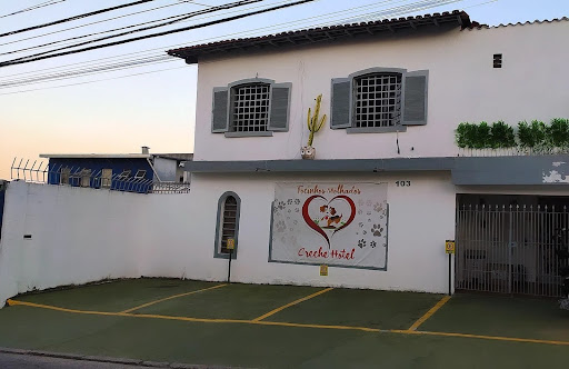 FOCINHOS MOLHADOS Creche Hotel para cães/ Hospedagem Canina FOCINHOS MOLHADOS Creche Hotel para cães/ Hospedagem Canina