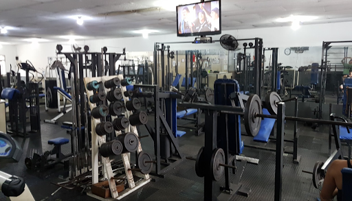 Forma Ideal Academia