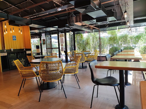 Jeronimo Track Paineiras