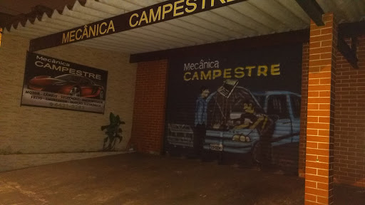 Mecânica Campestre