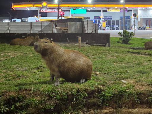 Moinho Bio Trigo Distribuidora