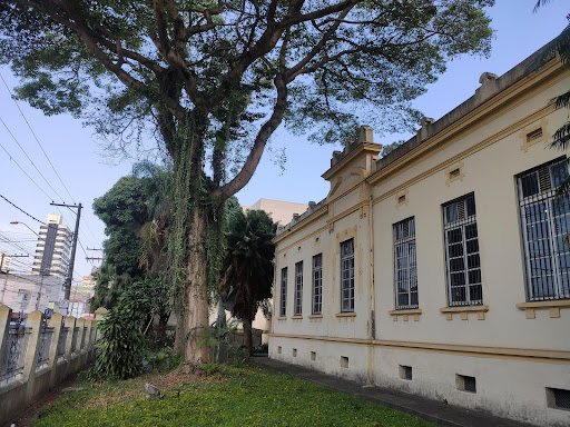 Museu de Santo André - Dr. Octaviano Armando Gaiarsa