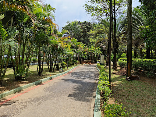 Parque Municipal Eng Salvador Arena