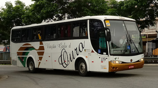 Viação Galo Ouro Transportes