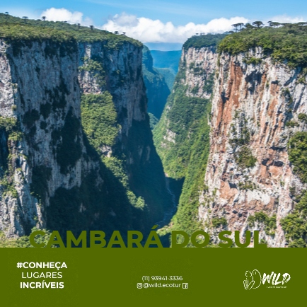 Wild Turismo Ecológico